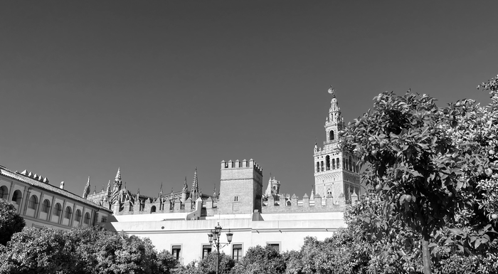 Sevilla and its Cathedral: Photo of Sevilla's cathedral with the Giralda, taken from the Patio de los Naranjos